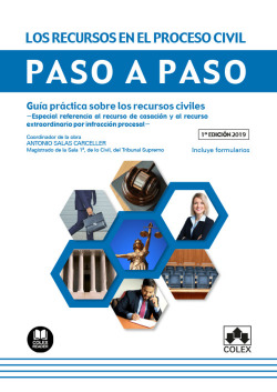 LOS RECURSOS EN EL PROCESO CIVIL