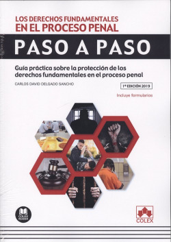 LOS DERECHOS FUNDAMENTALES EN EL PROCESO PENAL.PASO A PASO