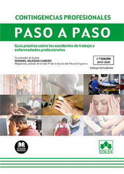 CONTINGENCIAS PROFESIONALES
