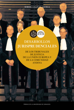 Desarrollos jurisprudenciales