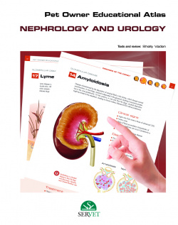 Pet Owner Educational Atlas. Nephrology and urology