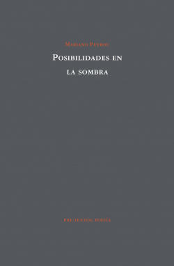 POSIBILIDADES EN LA SOMBRA