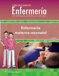 COLECCION LIPPINCOTT ENFERMERIA UN ENFOQUE PRACTICO 4º ED