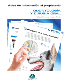 Atlas de información al propietario.