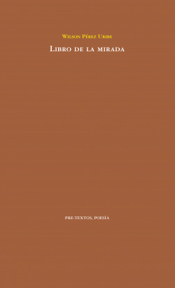 Libro de la mirada