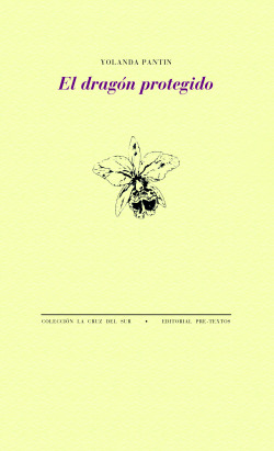 El dragón protegido