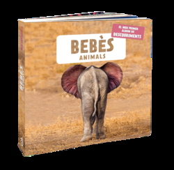 Bebès animals