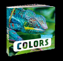 Colors