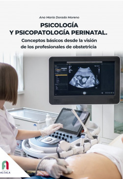 PSICOLOGÍA Y PSICOPATOLOGÍA PERINATAL.CONCEPTOS BASICOS DESDE LA VISION DE LOS PROFESIONALES DE OBSTETRICIA