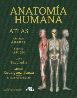 Anatomía Humana. Atlas 2.ª ed.