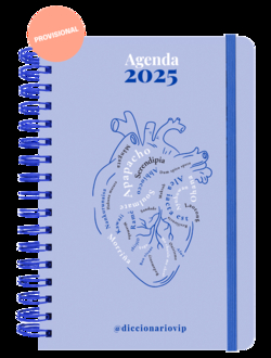 Agenda anual diaria 2025 "DiccionarioVip"