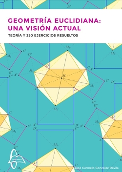 GEOMETRIA EUCLIDIANA UNA VISION ACTUAL TEORIA Y 250 EJERCIC