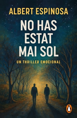 NO HAS ESTAT MAI SOL