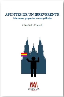 APUNTES DE UN IRREVERENTE