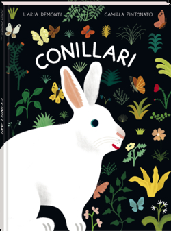 Conillari