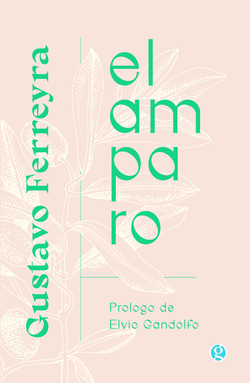 El amparo