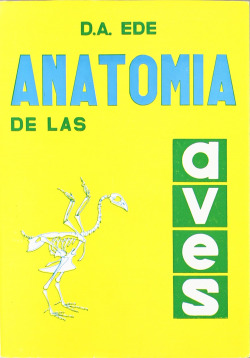ANATOMÍA DE LAS AVES