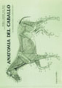 ANATOMÍA DEL CABALLO