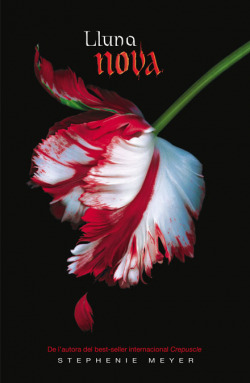 Lluna nova