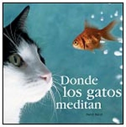 Donde Los Gatos Meditan