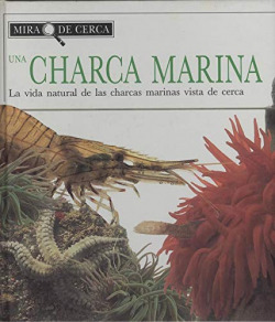 UNA CHARCA MARINA