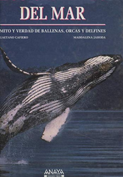 GIGANTES DEL MAR