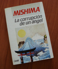 LA CORRUPCION DE UN ANGEL