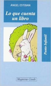 Lo que cuenta un libro