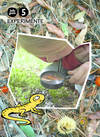 (VAL).(10).EXPERIMENTO 5 ANYS.(BELLUGUETS)