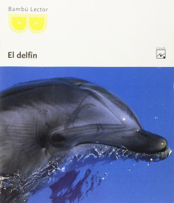 Ficha lectura el delfin