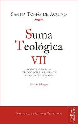 Suma Teológica VII