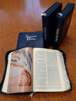 Sagrada Biblia. Versión oficial de la Conferencia Episcopal Española (Ed. popular - estuche símil piel cremallera)