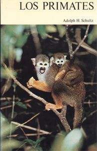 18. Los primates