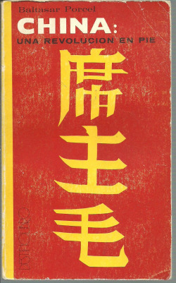 CHINA UNA REVOLUCION EN PIE