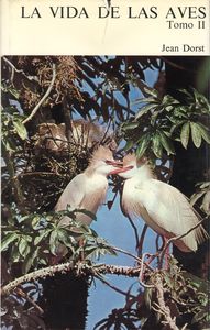 13.La vidas de las aves (Parte II)