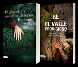 El guardián invisible