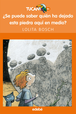 ¿se puede saber quien ha dejado esta piedra aqui en medio?