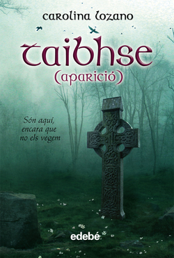Taibhse