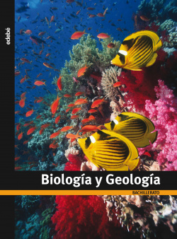 BIOLOGIA GEOLOGIA 1ºBACHILLERATO