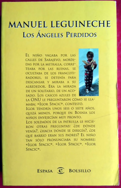 Los ángeles perdidos