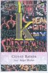 Ciudad rayada.e.narrativa