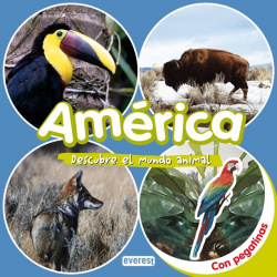 América