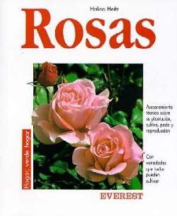 Rosas