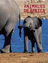 Animales de África