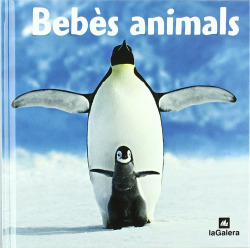 Bebès animals