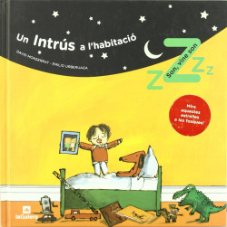 Un Intrús a l'habitació