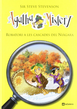 4. Robatori a les cascades del Niàgara