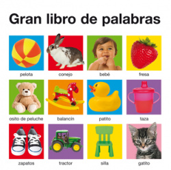 Gran libro de palabras