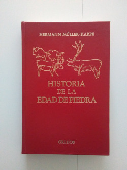 HISTORIA DE LA EDAD DE PIEDRA.