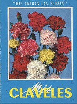 MIS CLAVELES